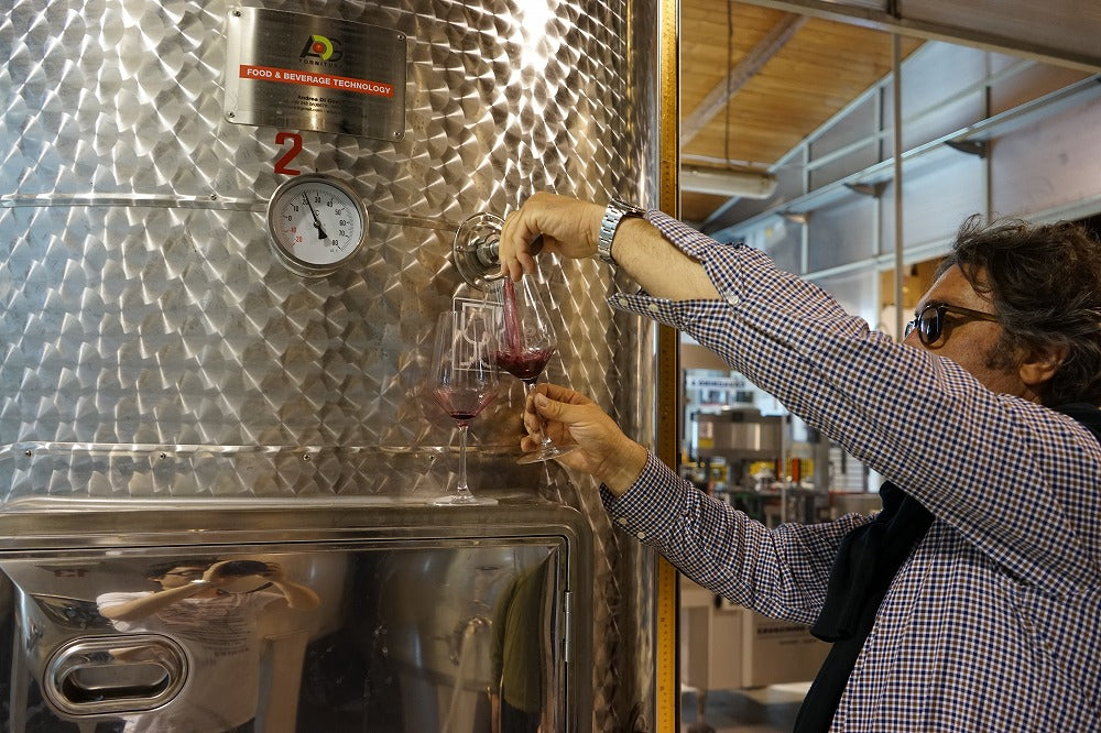 トーラ キマイラ グリッロ