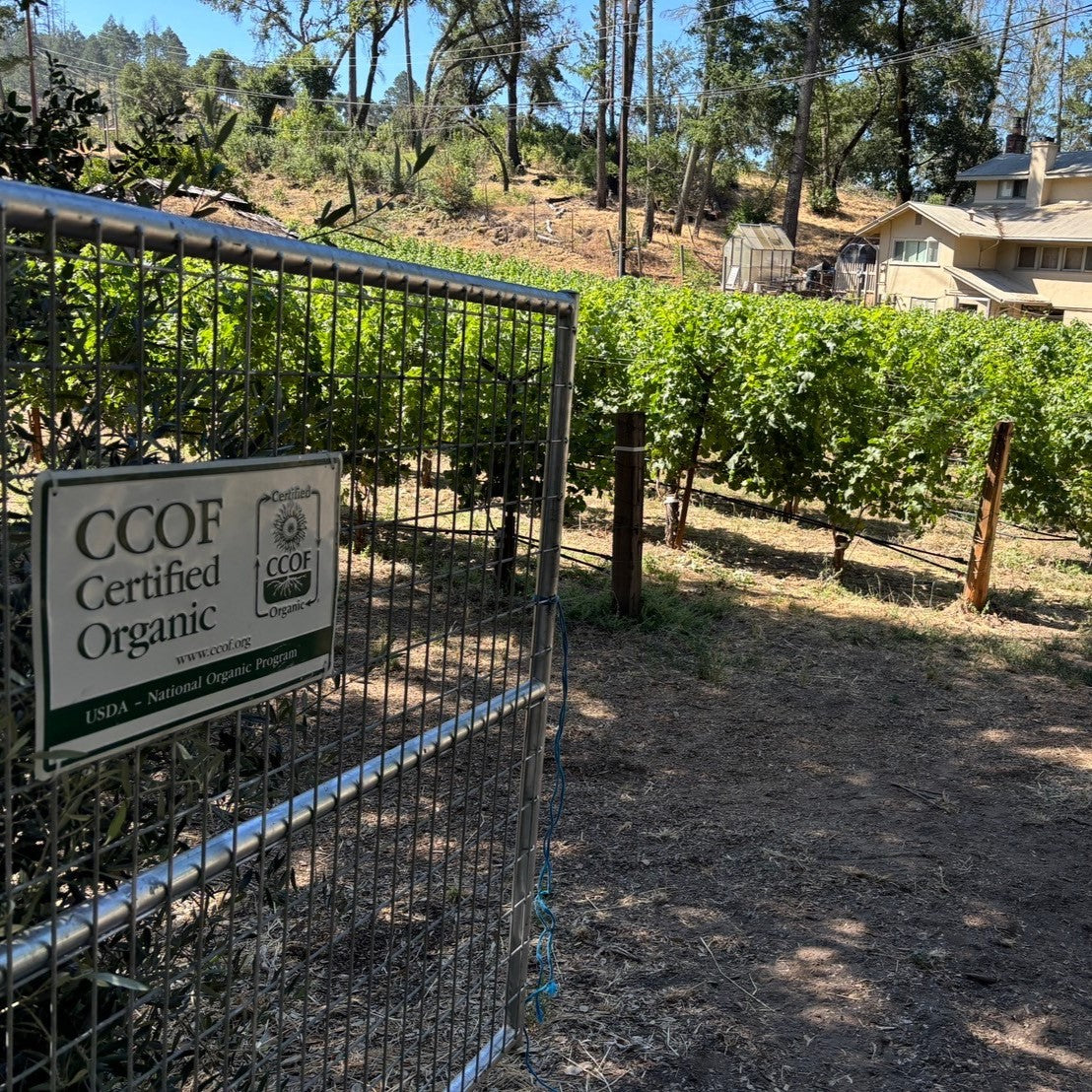 ライソロジー カベルネ・ソーヴィニヨン・ナパ・ヴァレー 2019【要クール便】