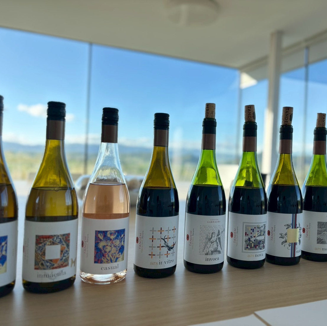 【WEB限定商品】タンデム　カスアル ロサート