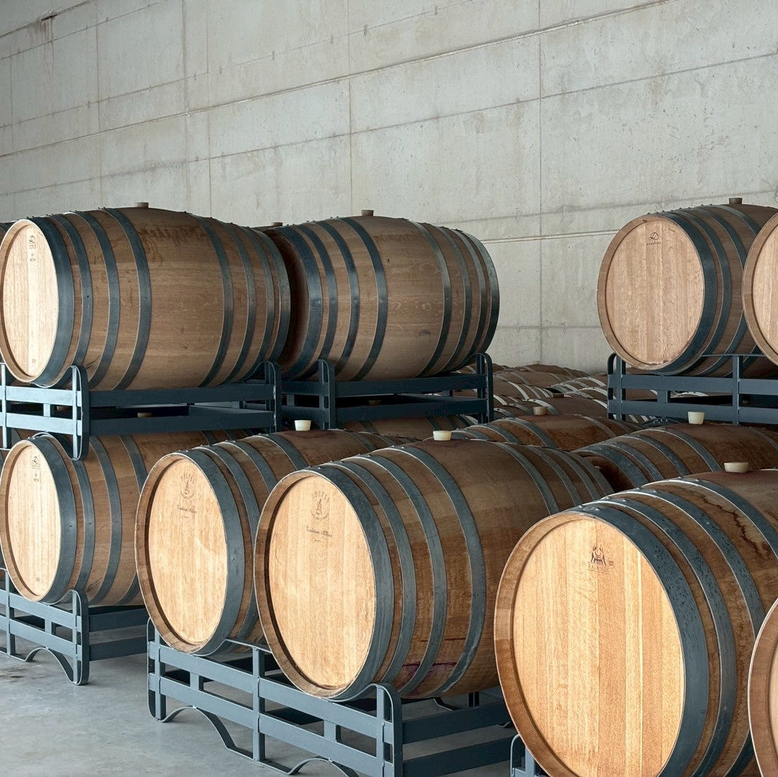 【WEB限定商品】タンデム　カスアル ロサート