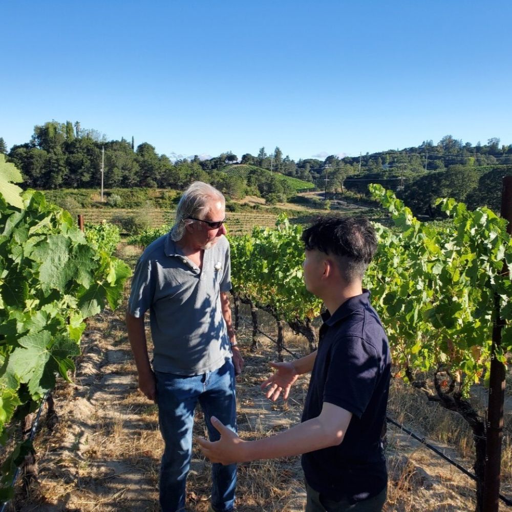 ジョセフ・スワン シャルドネ トレントン・エステート 2017