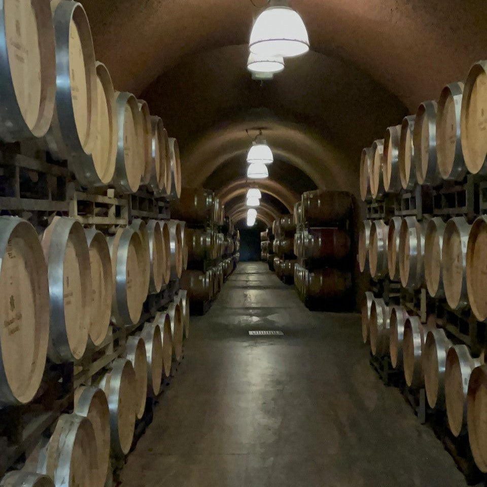 【WEB限定商品】アレクサンダー・ヴァレー ヴィンヤーズ  メルロ