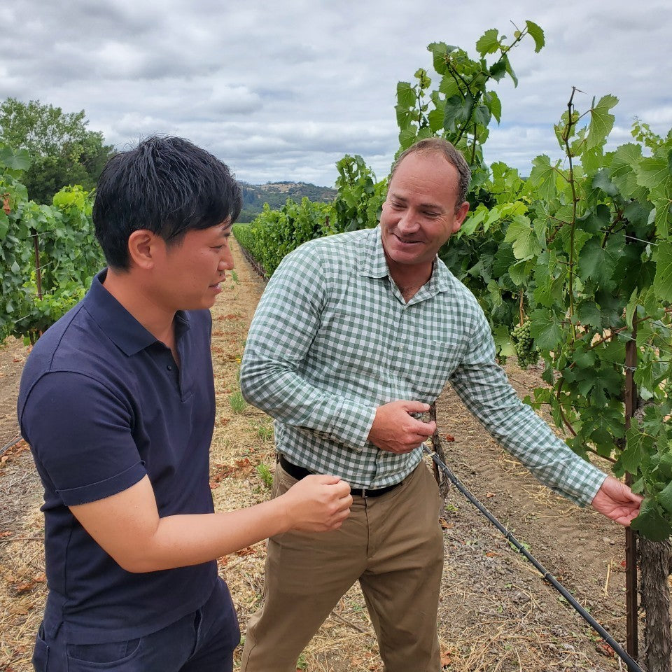 【WEB限定商品】アレクサンダー・ヴァレー ヴィンヤーズ  メルロ