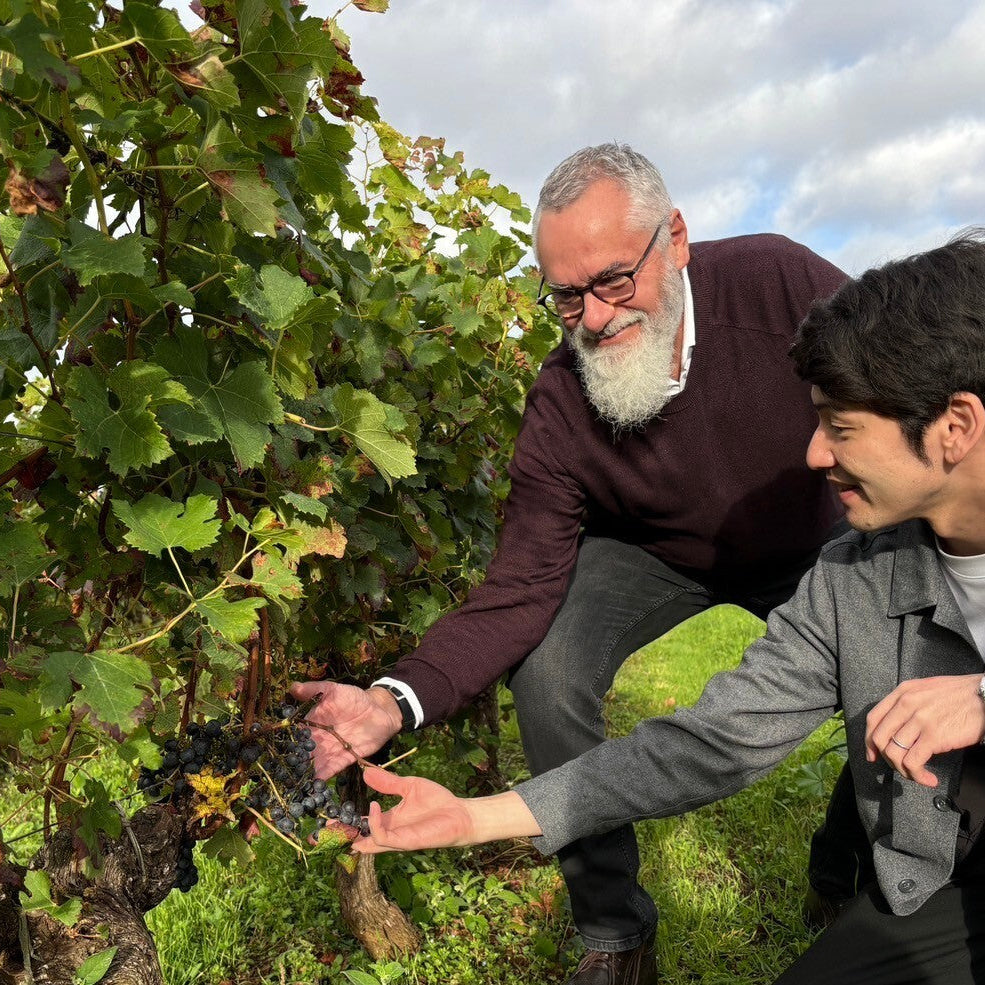 メドックの農協がつくる親しみやすいボルドーワイン