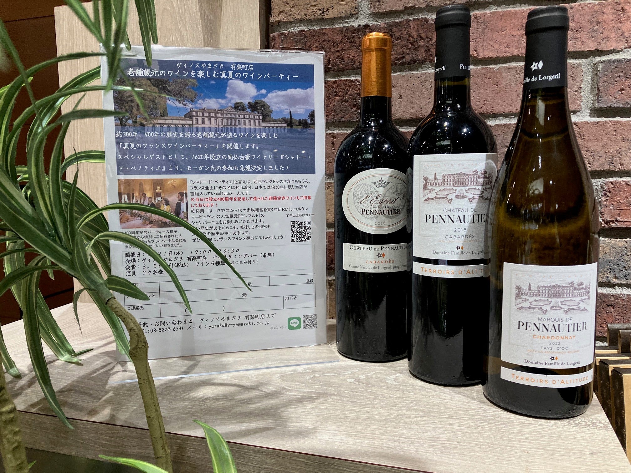 【有楽町店】老舗蔵元のワインを楽しむ真夏のフランスワインパーティー！