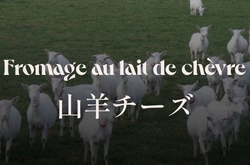 【有楽町店】《第2回》Bon pain！Bon vin！！Bon fromage！！！