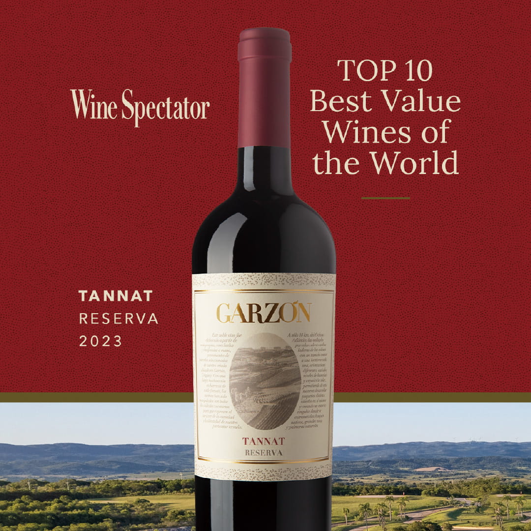 ウルグアイ　ガルソン　バリューワインTOP100　世界が注目　タナ