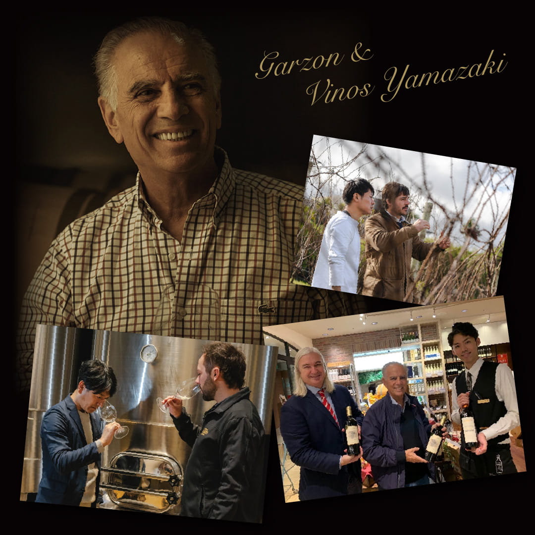 ウルグアイ　ガルソン　バリューワインTOP100　世界が注目　タナ