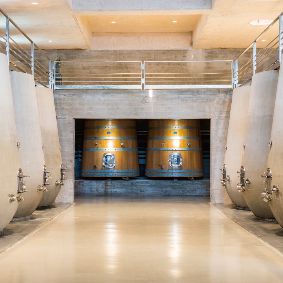 ウルグアイ　ガルソン　バリューワインTOP100　世界が注目　タナ　サステナブル