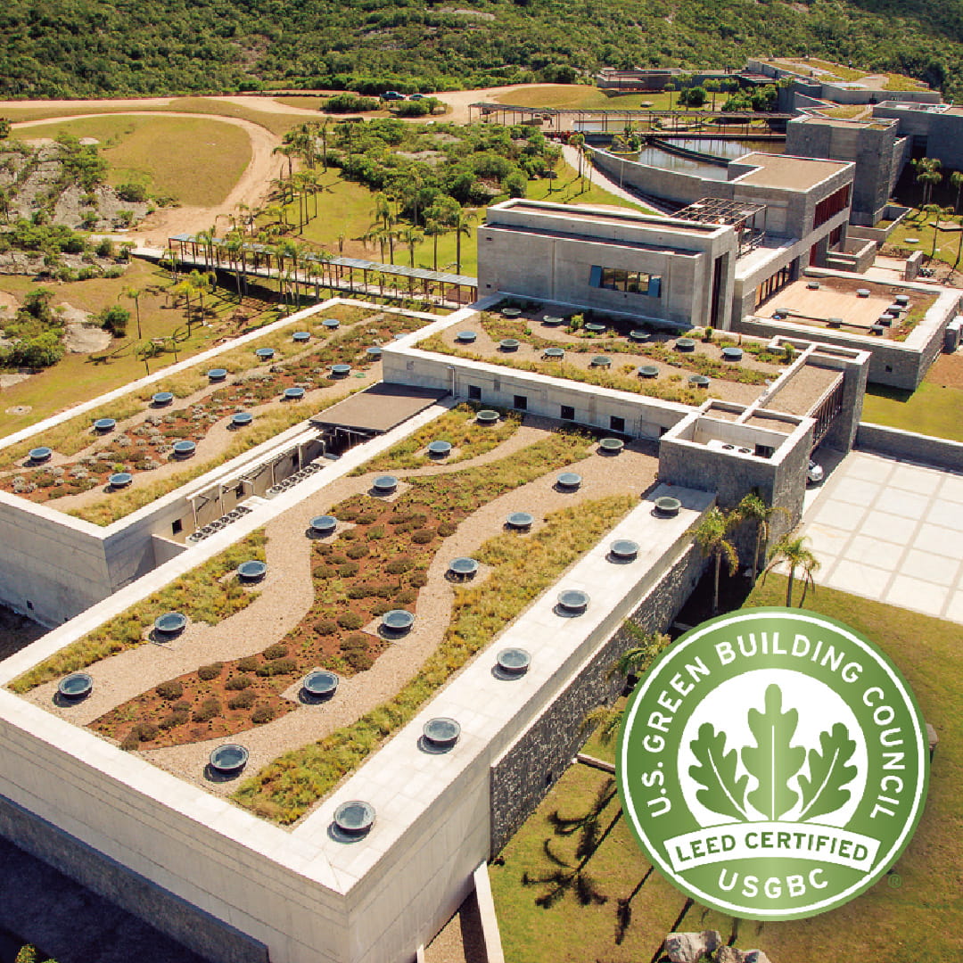 ウルグアイ　ガルソン　バリューワインTOP100　世界が注目　タナ　サステナブル