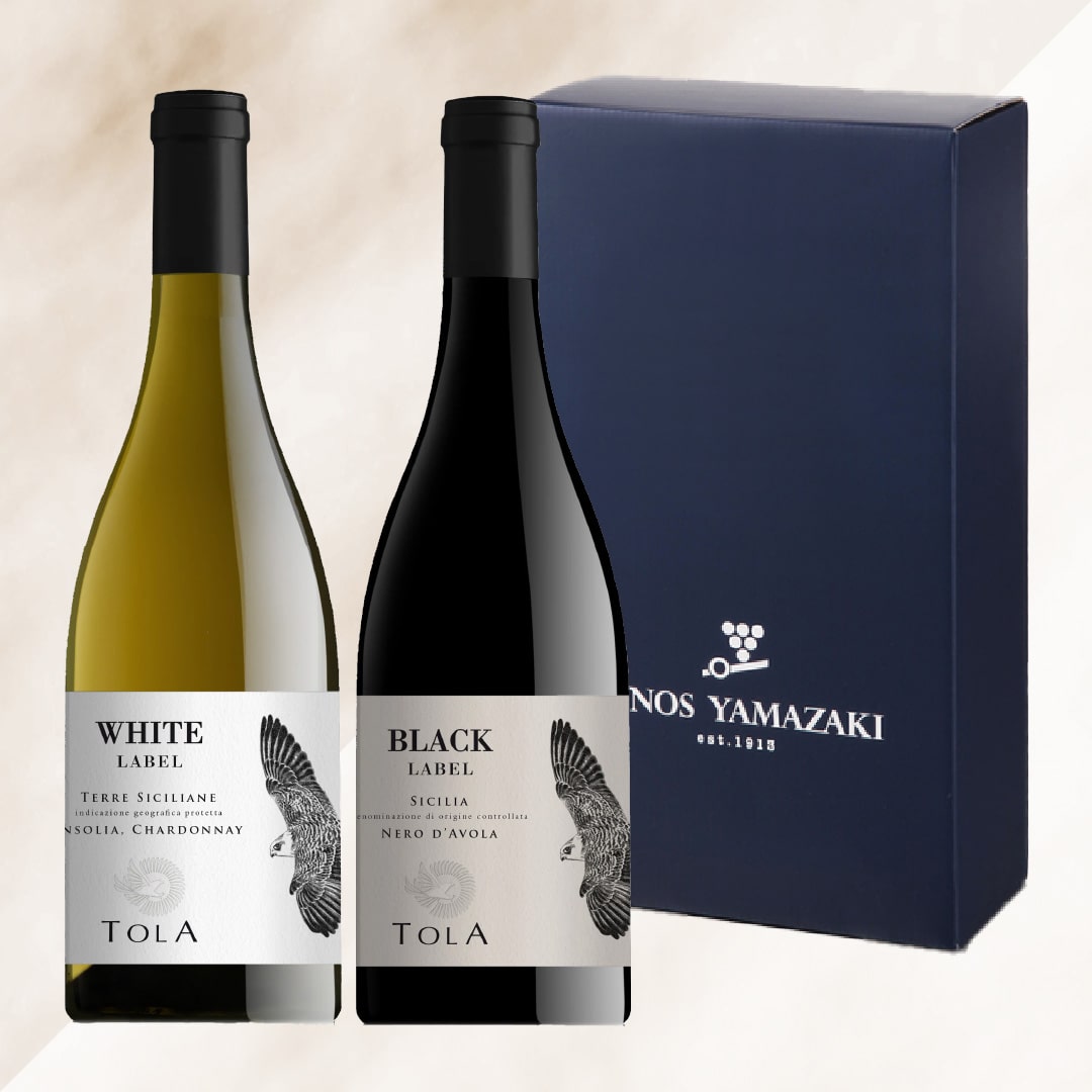 2025年冬ギフトD イタリア紅白コクありワインギフト【ギフト箱付】