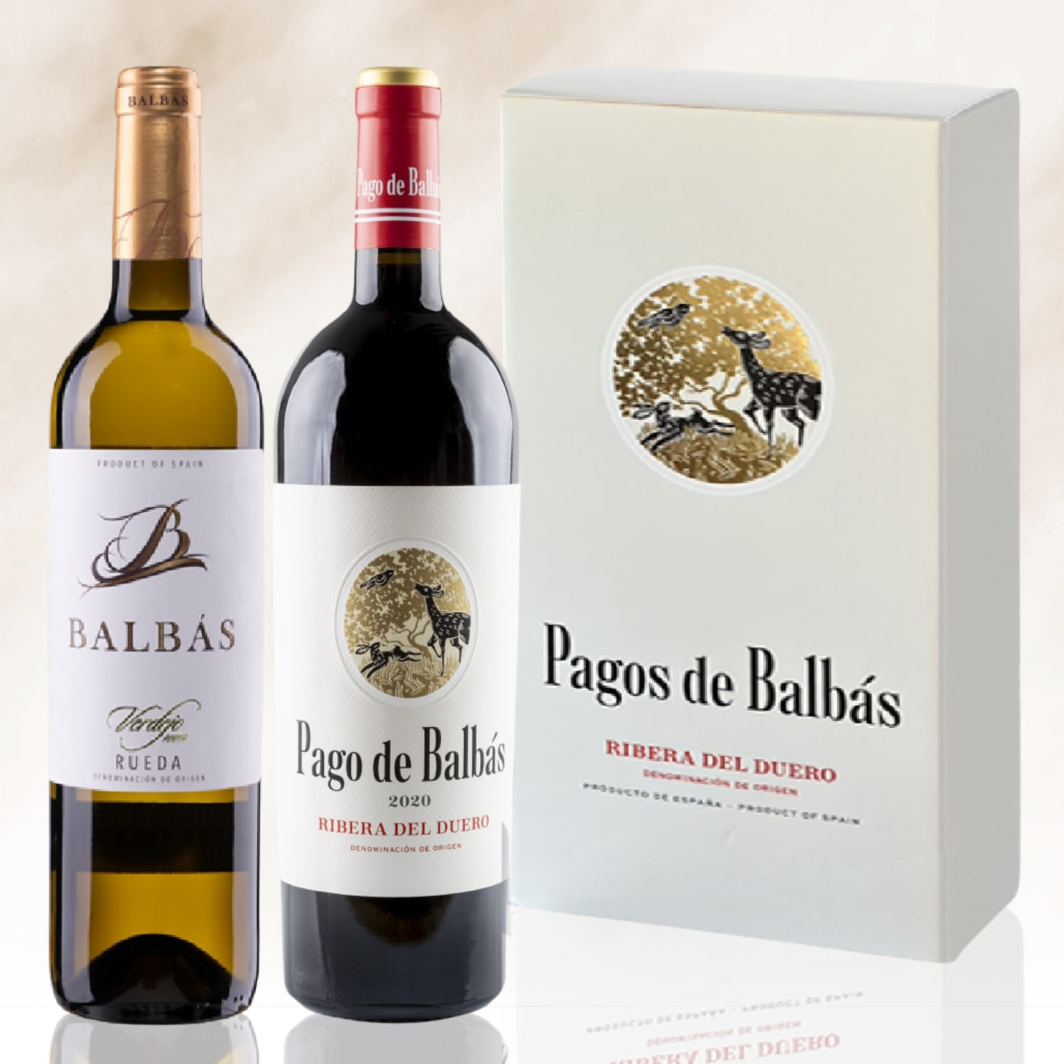 スペイン銘醸産地 蔵元紅白ワインギフト【専用箱入】