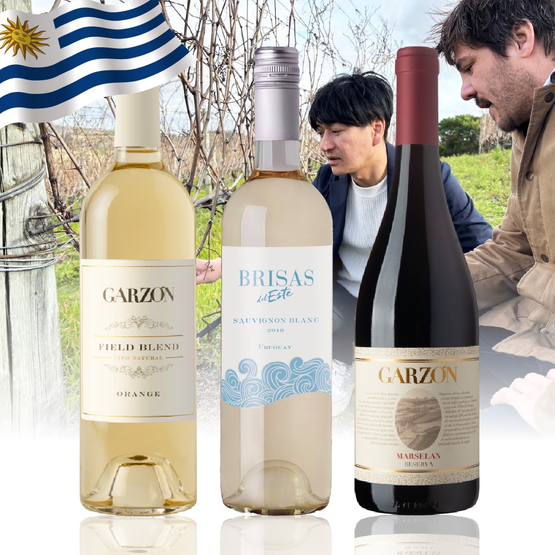 WEB限定】蔵直(R)プレミアムカリフォルニアワインセット