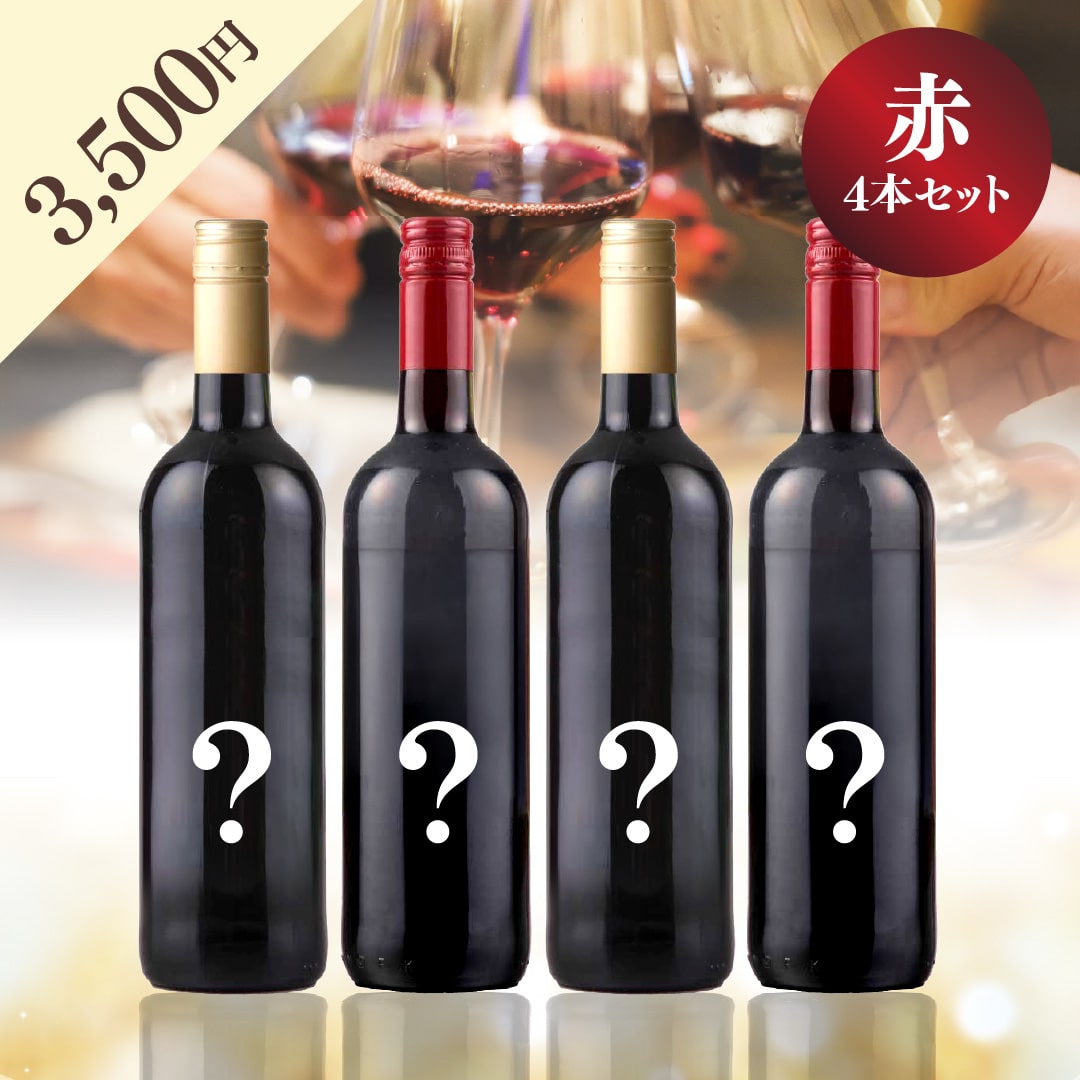 【WEB限定】 2025年末お楽しみBOX 3,500円 赤4本【2025年12月12日以降お届け】
