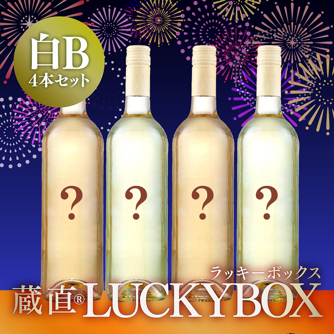 WEB限定】バリューワインセット 白10本 第5弾｜ヴィノスやまざき