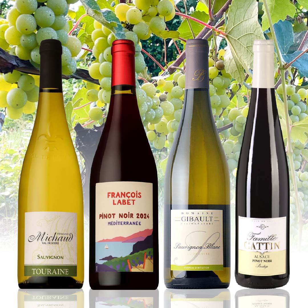 【WEB限定】ピノ＆ソーヴィニヨン・ブラン飲み比べセット