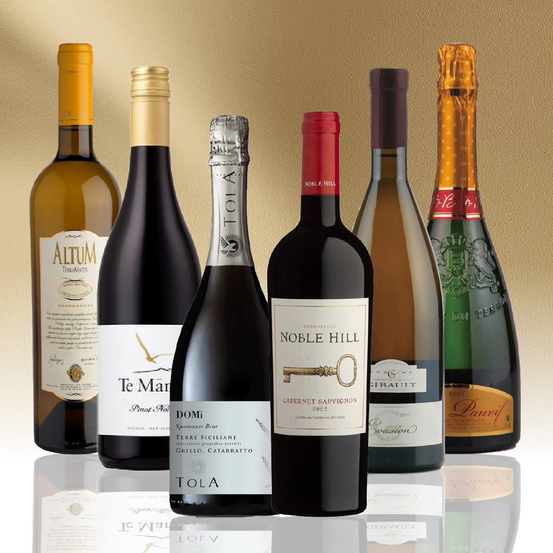 【WEB限定】世界のとっておきワイン6本セット【SET】