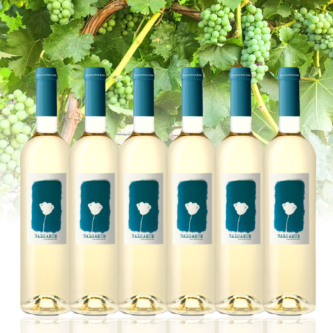 バルサムーム 白 6本セット【SET】