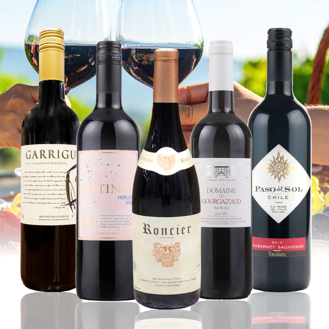 3月ワインバスケット うま得 エンジョイワイン 赤 5本セット