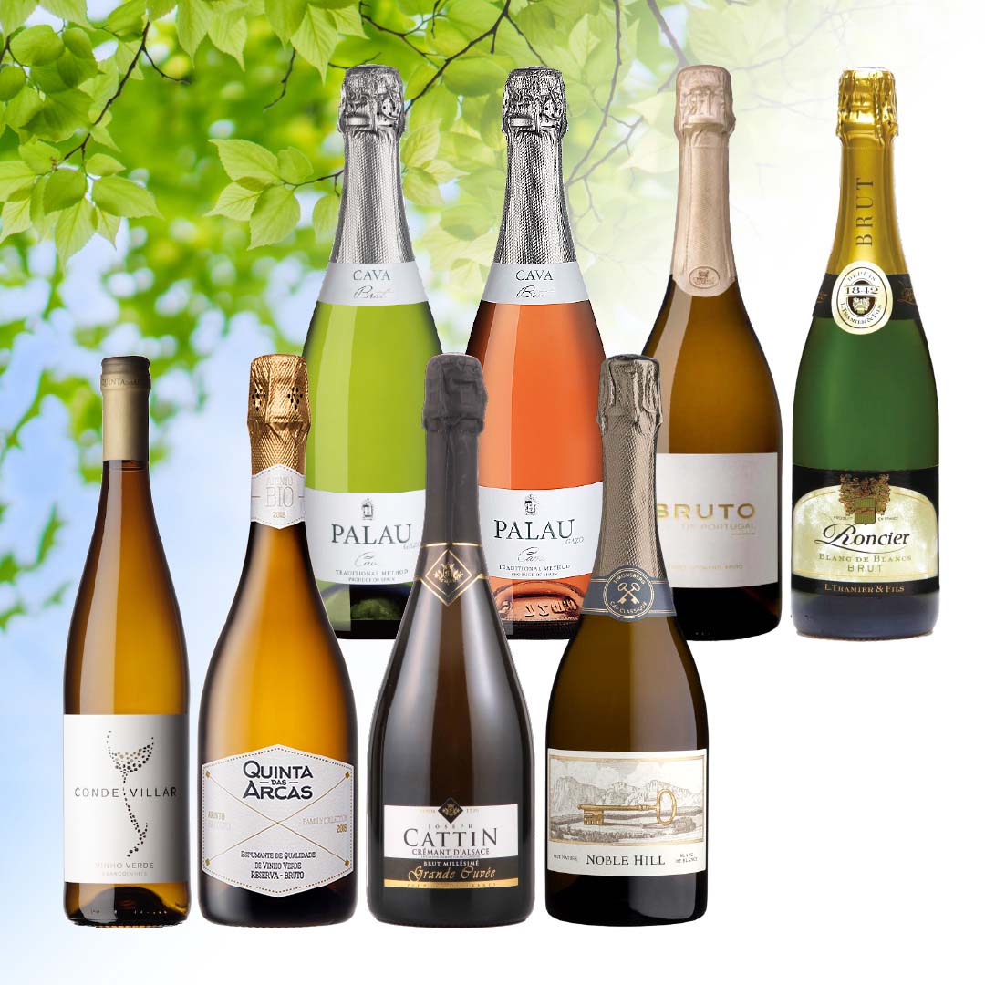 新緑のシュワッとワイン8本セット【SET】