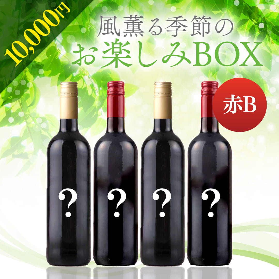 【WEB限定】 2026年風薫る季節のお楽しみBOX 10,000円　赤4本 B【4月24日以降のお届け】