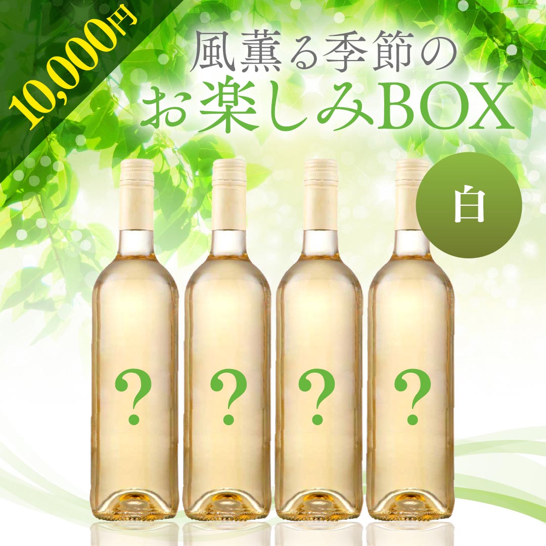 【WEB限定】 2026年風薫る季節のお楽しみBOX 10,000円　白4本【4月24日以降のお届け】