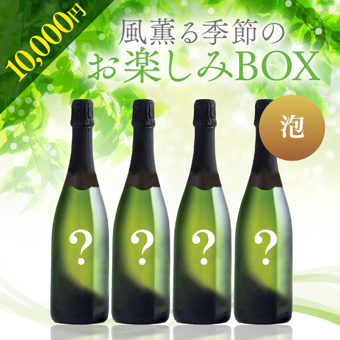 春ZAP3本セット【SET】