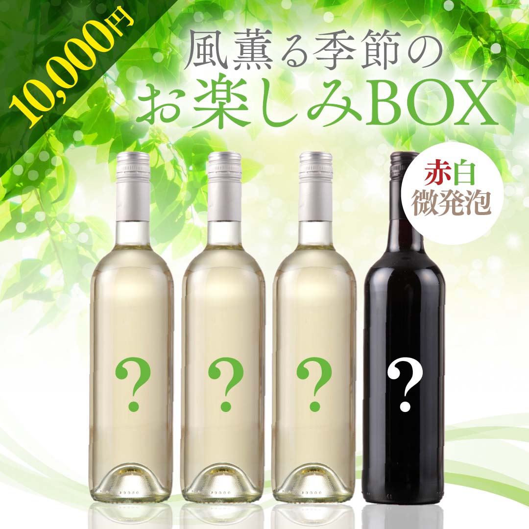 ワインの空瓶 春ZAP3本セット【SET】