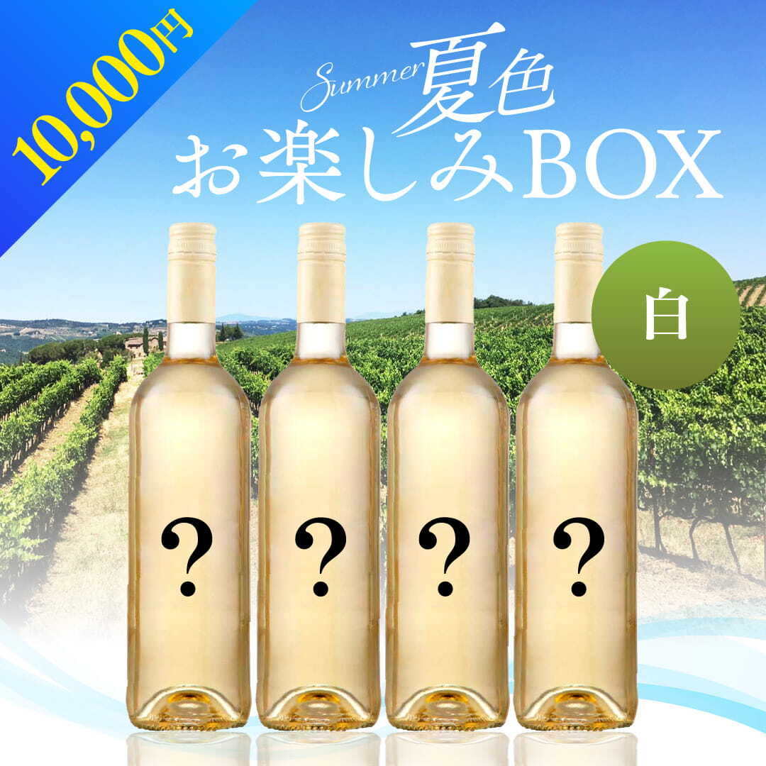 山崎　ワイン　計12本セット WEB限定】 2026年 夏色ワインBOX 10,000円 白4本【2026年6月12日以降お