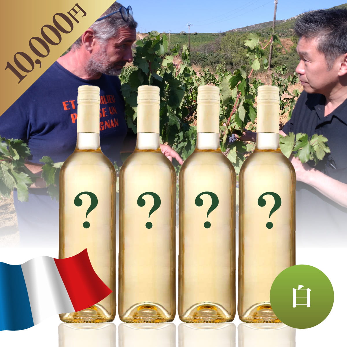 【WEB限定】 フランスお楽しみBOX 10,000円 白4本
