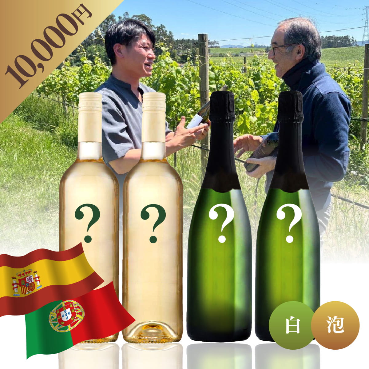 【WEB限定】 スペイン・ポルトガルお楽しみBOX 10,000円 白2本/泡2本
