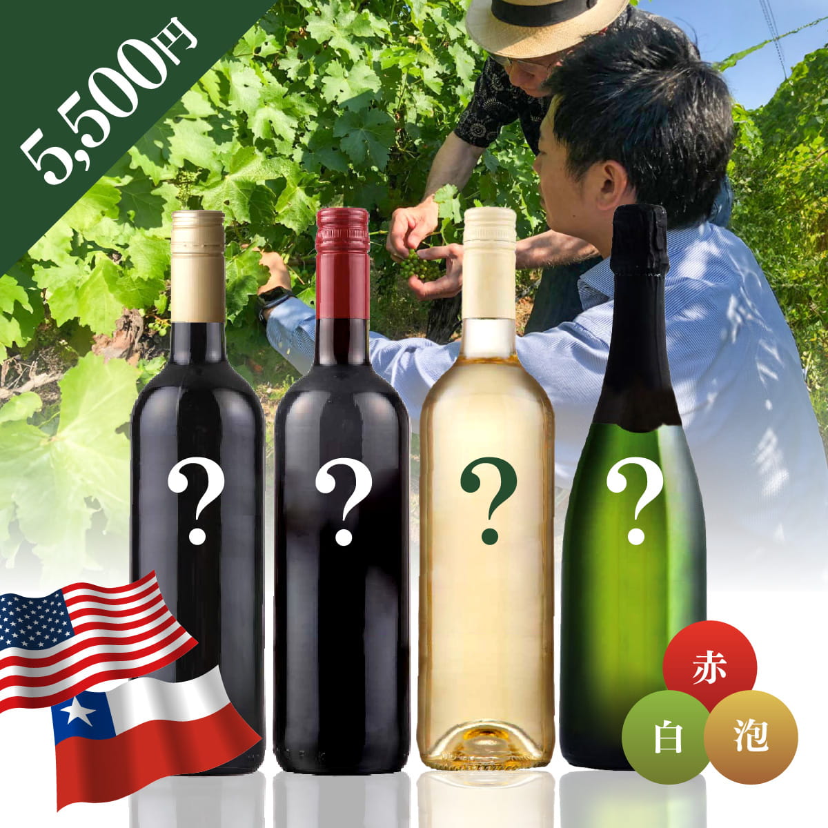 【WEB限定】 北米・南米お楽しみBOX 5,500円 赤2本/白1本/泡1本