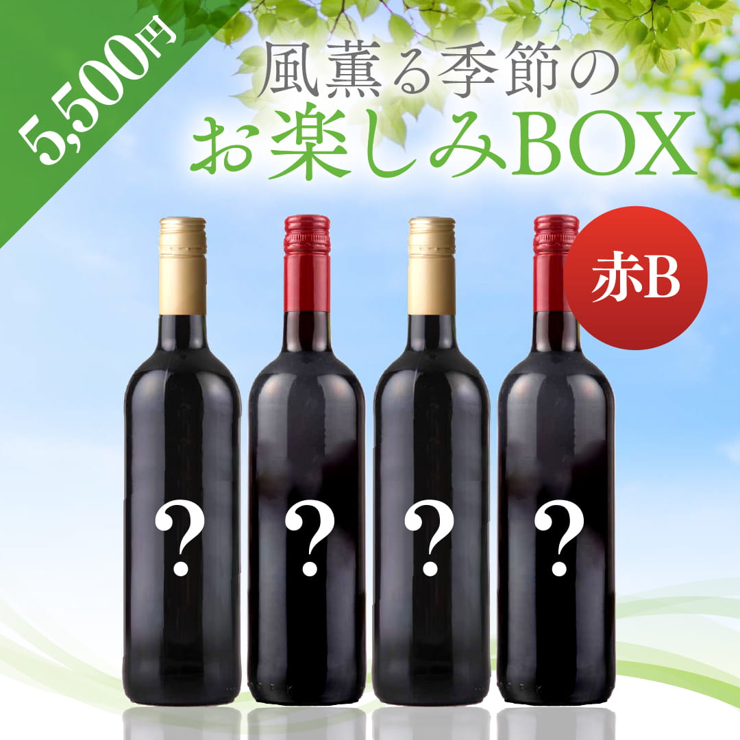 WEB限定】 2026年風薫る季節のお楽しみBOX 5500円 赤4本 B