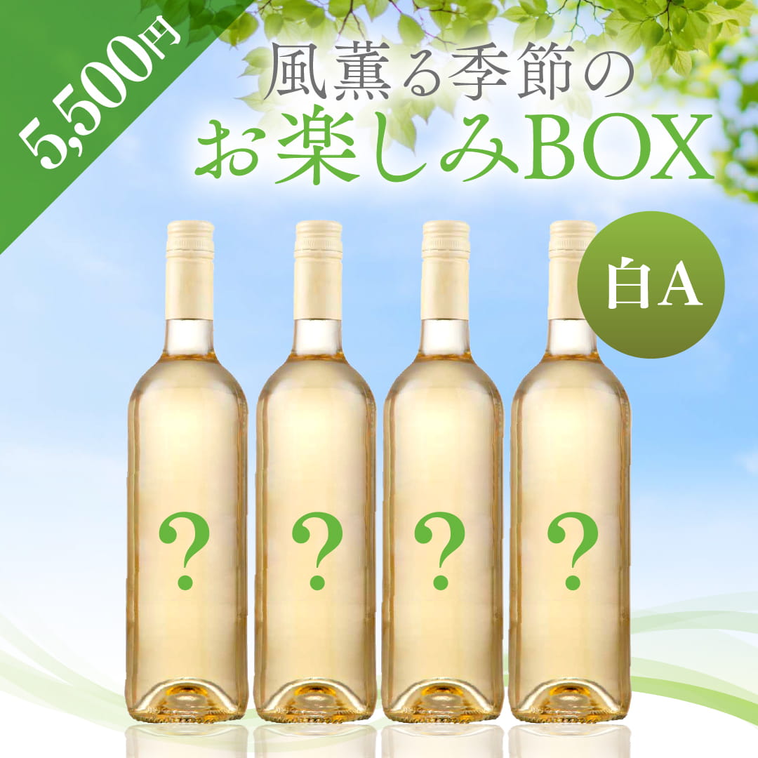 【WEB限定】 2026年風薫る季節のお楽しみBOX 5,500円　白4本 A【4月24日以降のお届け】