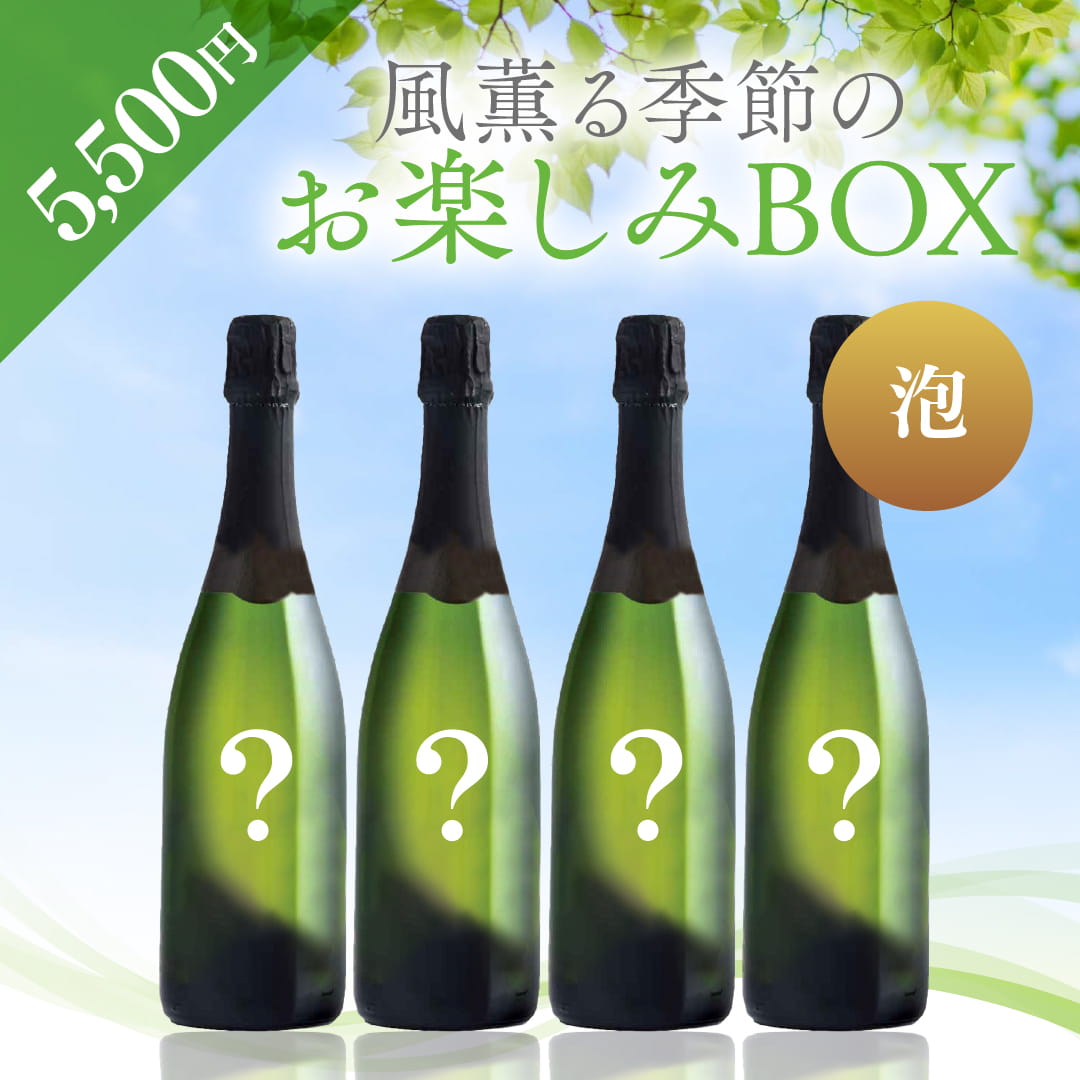 春ZAP3本セット【SET】