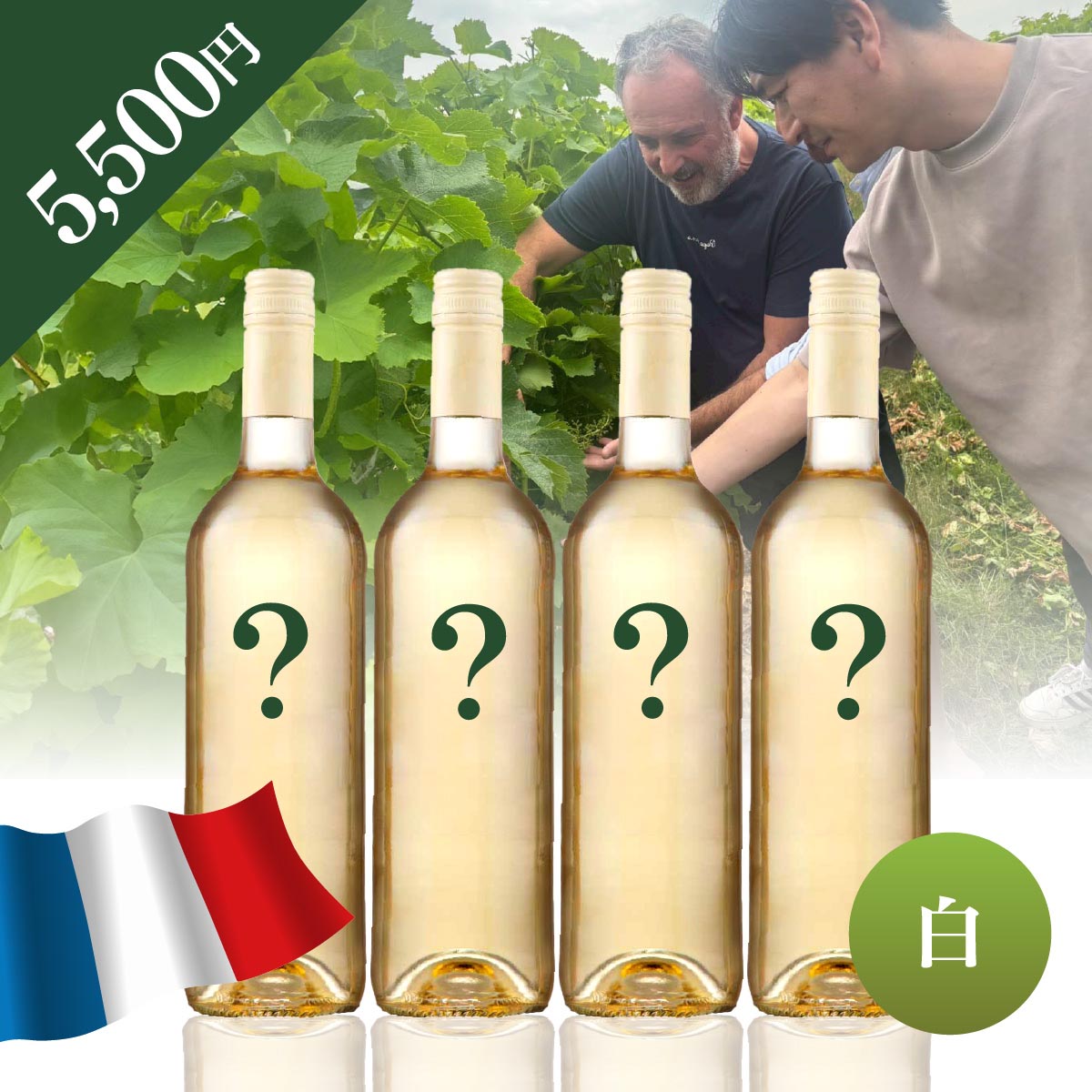 WEB限定】 フランスお楽しみBOX 5,500円 白4本