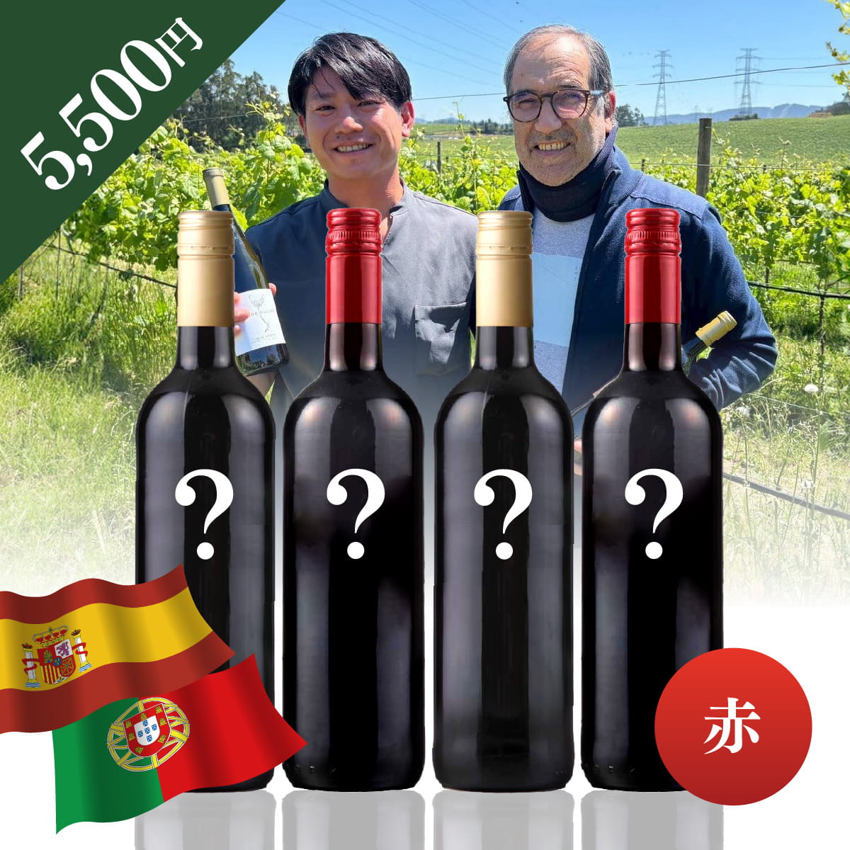 【WEB限定】 スペイン・ポルトガルお楽しみBOX 5,500円 赤4本