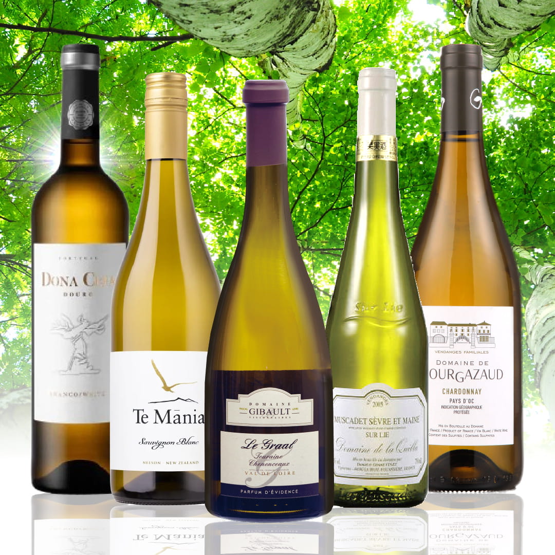【WEB限定】新緑の白ワインセット