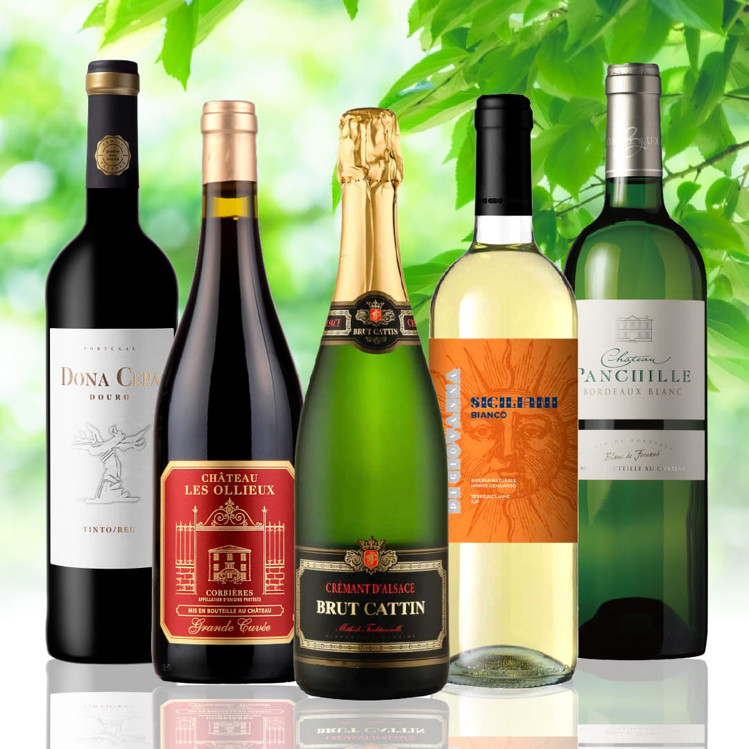 【WEB限定】新緑のミックスワインセット