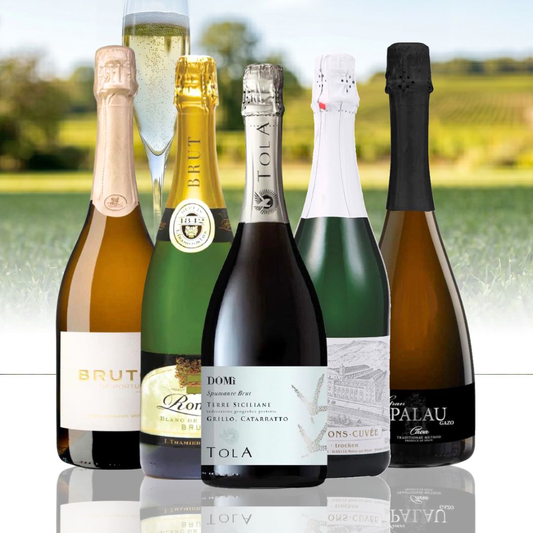 【WEB限定】ピクニックに！スパークリングワインセット 第2弾