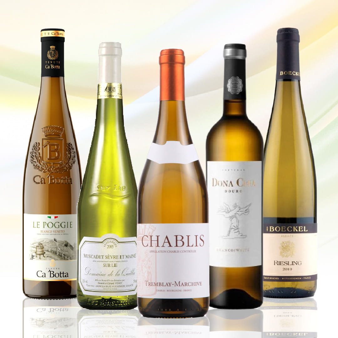 【WEB限定】春のいち推し白ワインセット【SET】