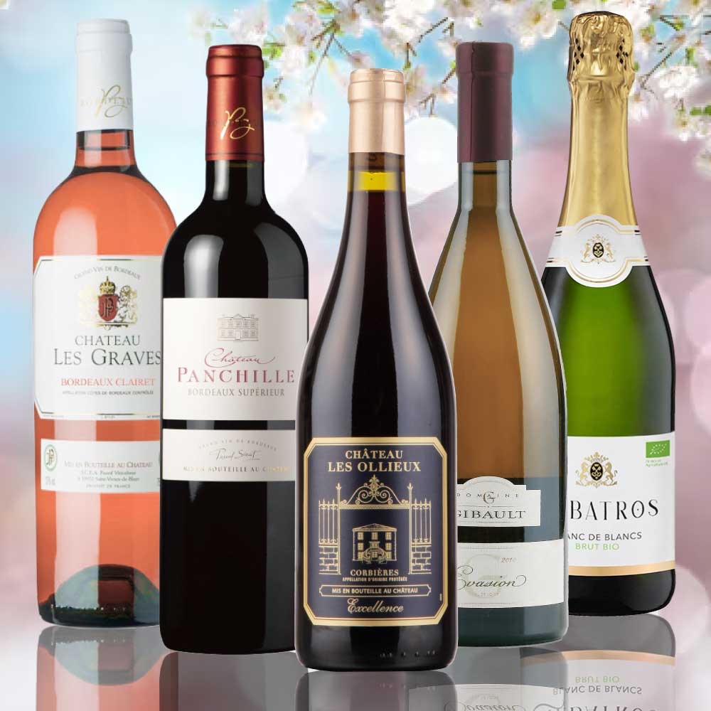 【WEB限定】春のVINまつりアソートセット