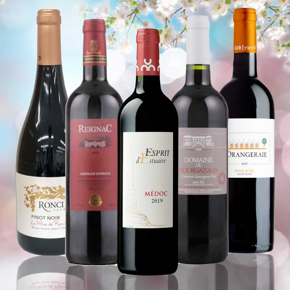 【WEB限定】春のVINまつり赤セット