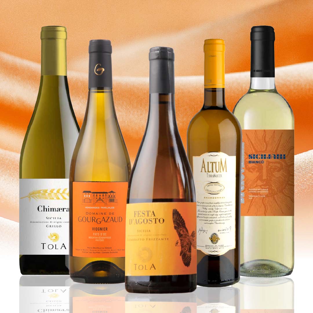 【WEB限定】オレンジ・黄色ラベルセット