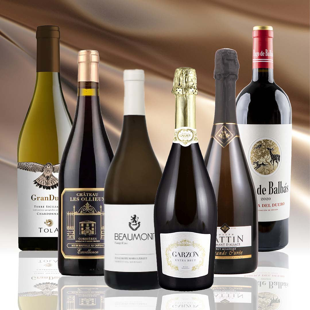 【WEB限定】感謝のプレミアム蔵直ワインセット