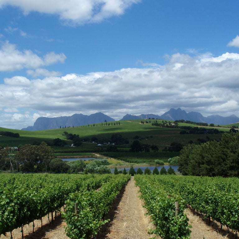 クロ・マルヴェルヌ ル・カフェ ピノタージュ