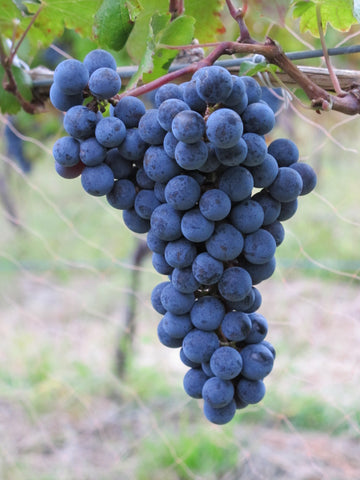 FAQの項目説明画像