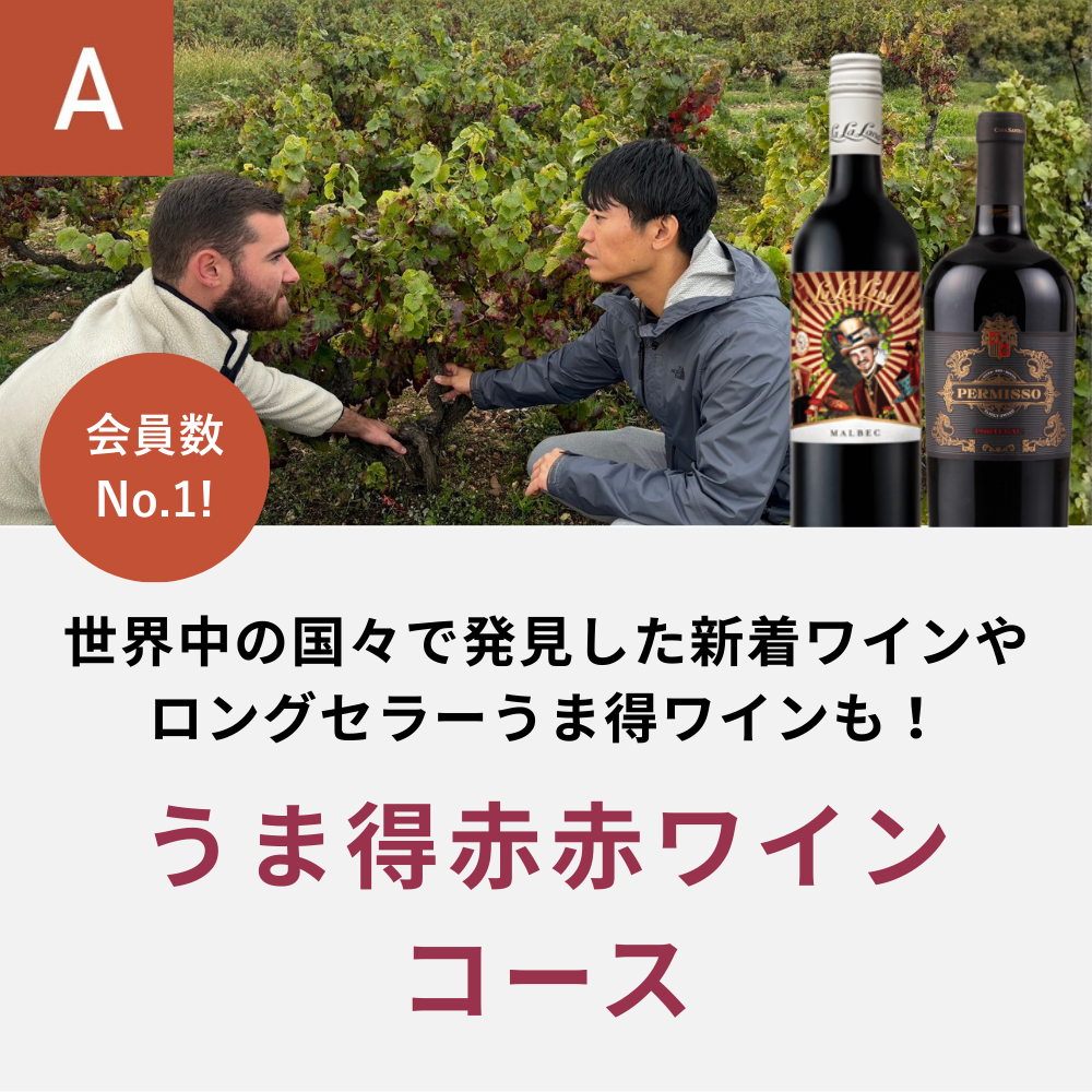 うま得赤赤ワインコース(12回/年)_夏季のみクール便【蔵直(R)ワイン