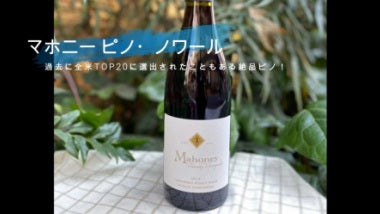 マホニー カーネロス ピノ・ノワール 2019