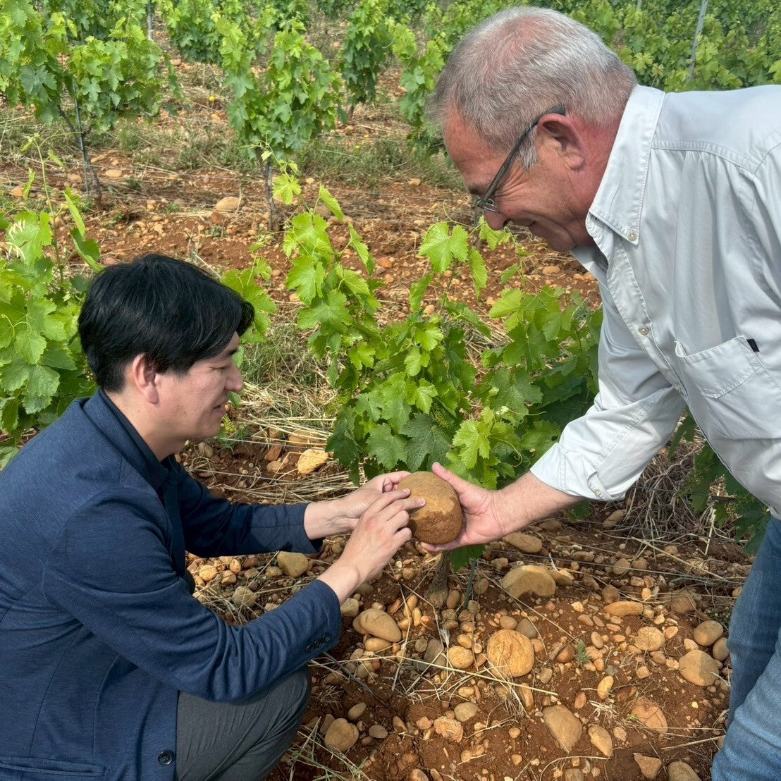 ル・プティ・クードゥリ ブラン